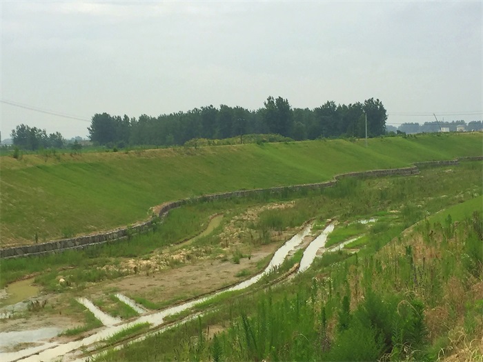 1583389605979088.jpg 01安徽滁州现场.jpg