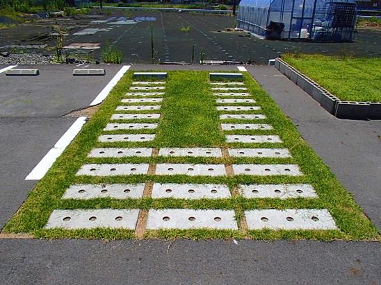 02 施工后草坪生长情况实例（铺设完成10个月后）.jpg