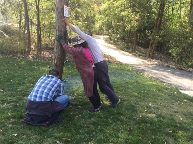 1583395951660824.jpg 10 天府新区有害生物防治巡查.jpg