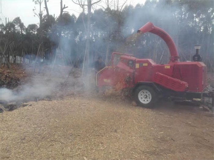 1583396171103030.jpg 16 碎木现场.jpg